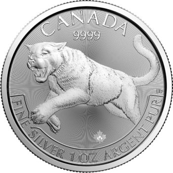 Canadian Predator Series Cougar .9999 Silver 1 Troy oz 2016 - Image 2
