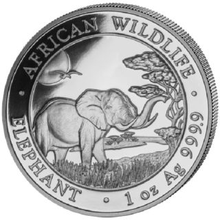 Somalian Elephant Silver Coins 1 Troy oz 2019