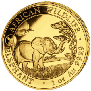 Somalian Elephant Gold Coins | 1 oz 2019